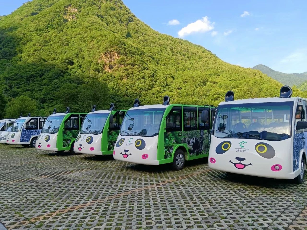 【购买电动观光车的客户】买电动观光车,你最该问点啥?