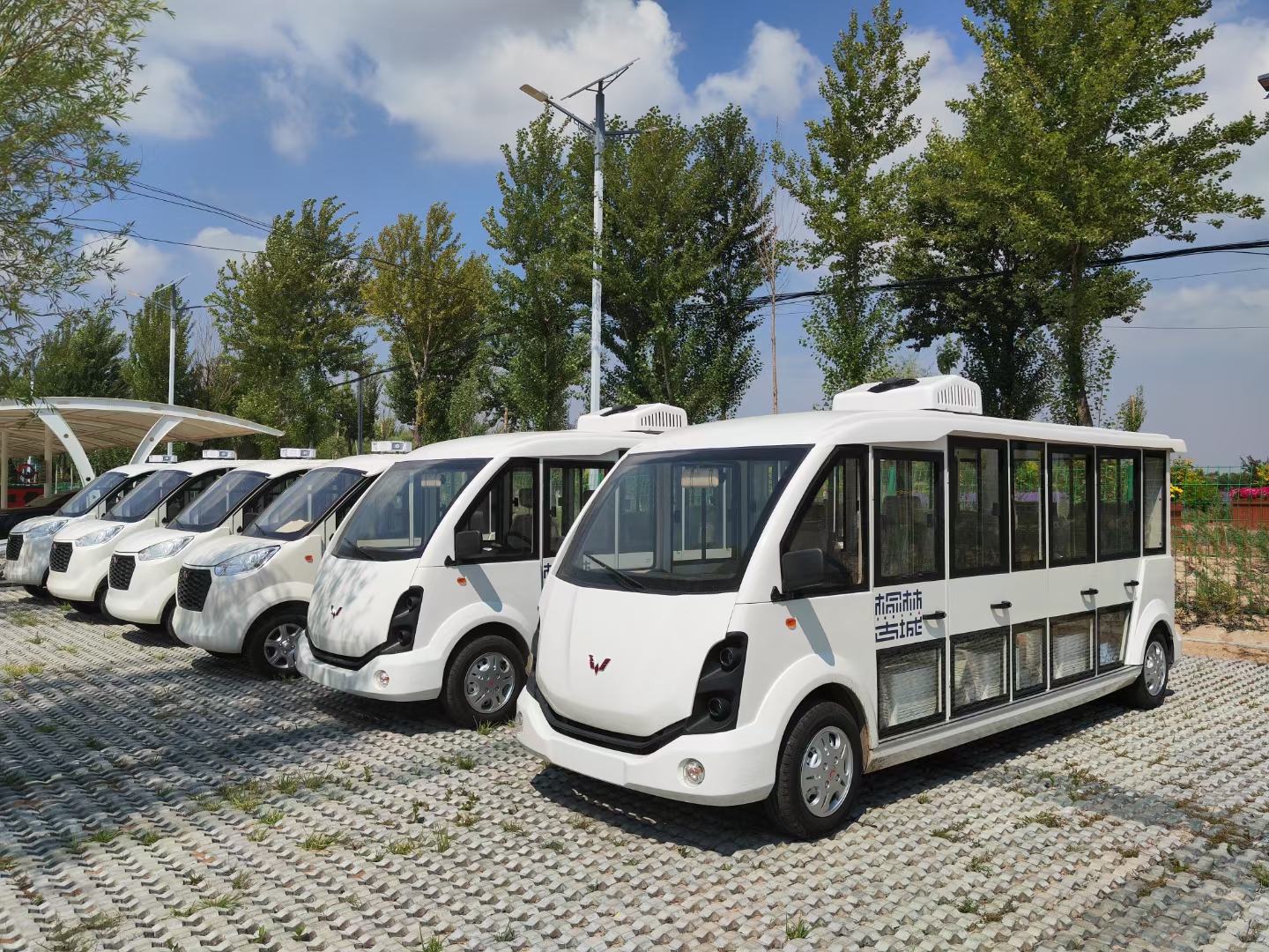 电动观光车，真香预警！♻️ 省钱省心还环保